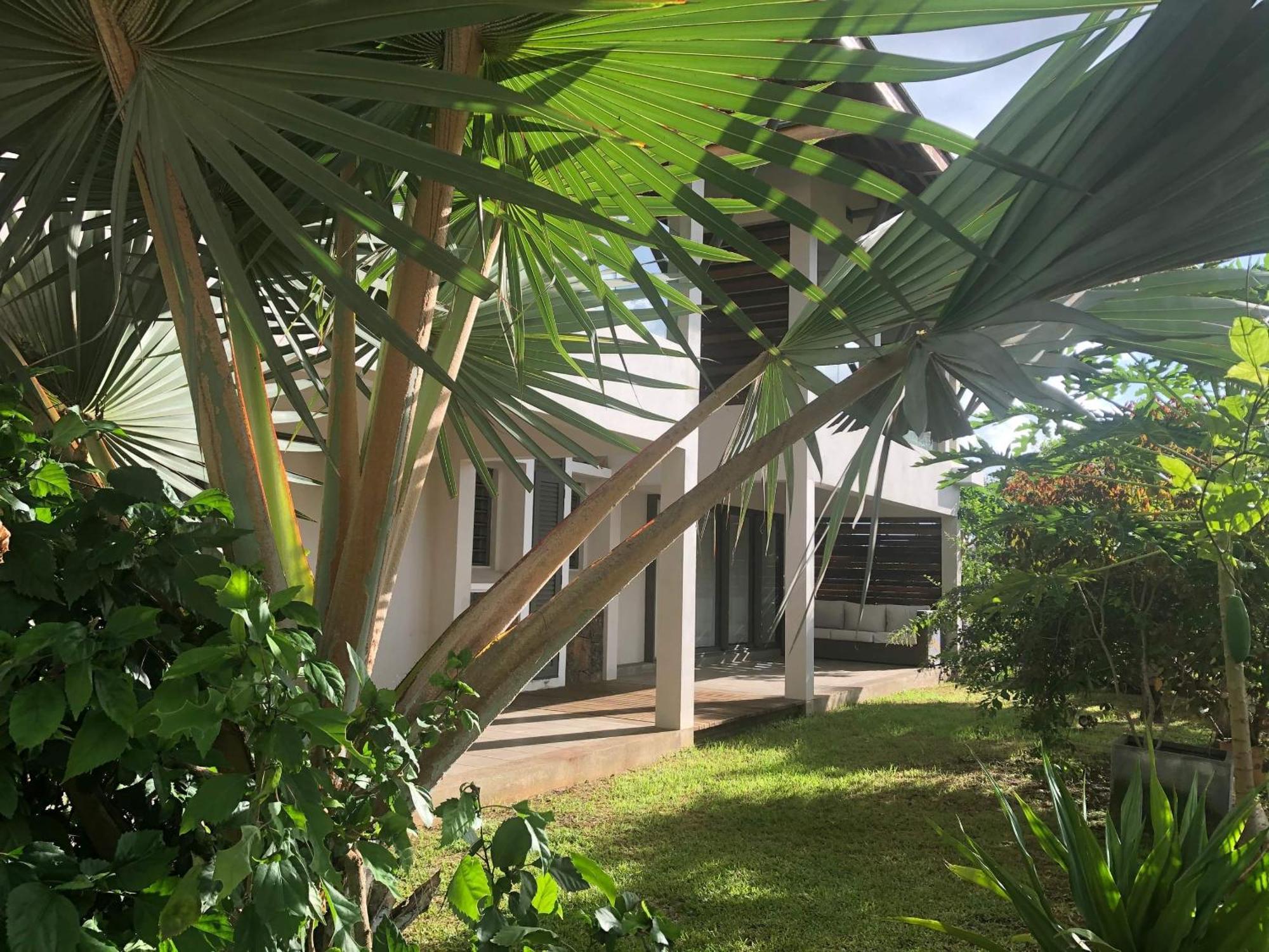 Au Coeur De Tamarin Entre Riviere Et Mer -Magnifique Appartement 3 Chambres- Calme Et Nature Exteriör bild